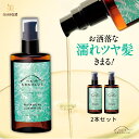 【全品5倍 2点で5 offクーポン 2日20:00～】【お得 2本 セット】ボタニカル ヘアオイル ウエット 濡れ髪 オーガニック 無 添加 スタイリング オイル レディース メンズ 美容室 ヘアケア【ヘアアブソリュ ボタニカル ラスタオイル 100ml 2本組】無添加 美容室 濡れ髪