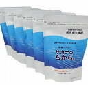 サカナのちから B ベーシック パウチタイプ 機能性表示食品 120g×6個
