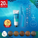 ★期間限定20%OFFクーポン★\お試し/白髪に3分【公式】ルプルプ エッセンス カラートリートメント トライアルチューブ 34g & カラー用スタンドブラシ ...