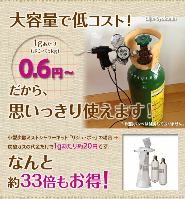 【あす楽】炭酸ミスト 炭酸ミストシャワーをプロユースに改良 ｜大容量 ボンベ 5kg 使用 低コスト！ 化粧水 スプレー 業務用 ミストユニット 炭酸ミストシャワー 炭酸 二酸化炭素 美容室 美容院 エステ サロン 整体 メンズ ミスト シャワー 高濃度 プレゼント ギフト