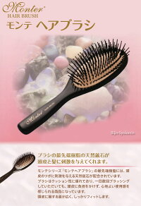 モンテヘアブラシ