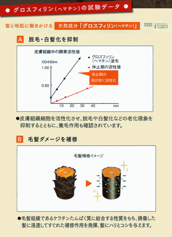 (あす楽)サローネ スーパーブラウントリートメント MX 　1000g ポンプタイプ【2個で送料無料】今ならミニパウチを2セットプレゼント【SALONE】【即納可】(プレゼント ギフト)