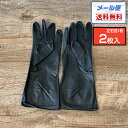 【メール便送料無料】THE BLACK GLOVE ザ ブラック グローブ 2枚入 1セット SSサイズ Sサイズ Mサイズ Lサイズ パウダーフリー 左右別手型タイプ｜カラーリンググローブ ヘアダイグローブ 天然ゴム カラーリング ヘアダイ グローブ 手袋 ゴム手袋 SS S M L 美容院 バラ