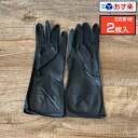 【あす楽】THE BLACK GLOVE ザ ブラック グローブ 2枚入 1セット SSサイズ Sサイズ Mサイズ Lサイズ パウダーフリー 左右別手型タイプ..