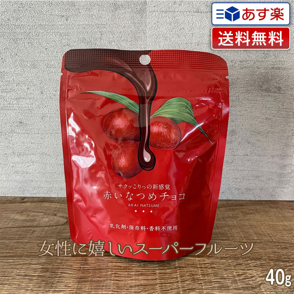 【新鮮！毎週入荷】赤いなつめチョコ 内容量 40g【送料無料】マンジェリコン グランドフードホール 赤い なつめ ナツメ 赤いナツメ あかいなつめ 乾燥ナツメ なつめチップ なつめチップス ビタミン ミネラル カルシウム 棗 薬膳 漢方 ドライフルーツ チョコレート チョコのサムネイル