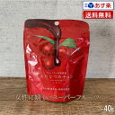 【新鮮!毎週入荷】赤いなつめチョコ 内容量 40g【送料無料】マンジェリコン グランドフードホール 赤い なつめ ナツメ 赤いナツメ あかいなつめ 乾燥ナツメ なつめチップ なつめチップス ビタミン ミネラル カルシウム 棗 薬膳 漢方 ドライフルーツ チョコレート チョコ