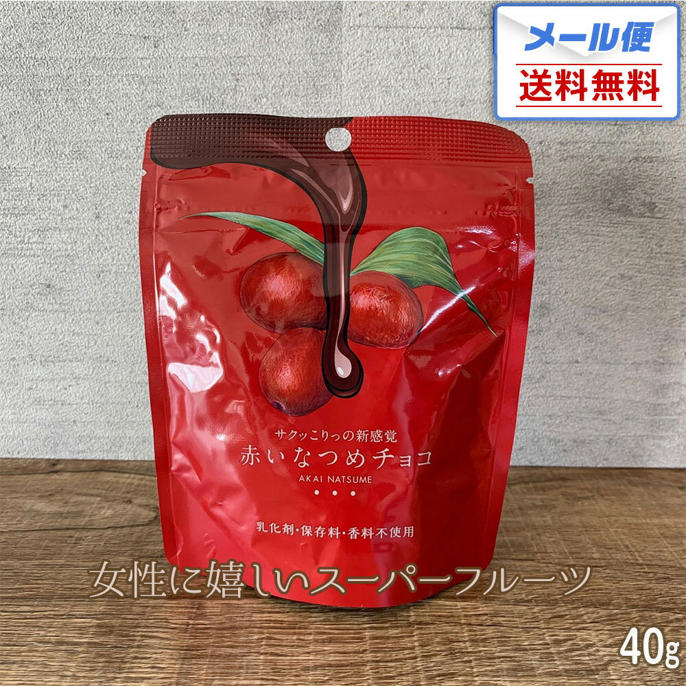 【メール便送料無料】赤いなつめチョコ 内容量 40g｜新鮮！毎週入荷 マンジェリコン グランドフードホール 赤い なつめ ナツメ 赤いナツメ あかいなつめ 乾燥ナツメ なつめチップ なつめチップス ビタミン ミネラル 棗 薬膳 漢方 ドライフルーツ チョコレート チョコのサムネイル