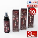 【あす楽】【3本セット15%OFF】HGFactor 頭皮用 100ml |頭皮用ローション H.G.Factor エイチ・ジー・ファクター 美容 健康 健康食...