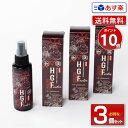 【あす楽】【3本セット15％OFF】HGFactor 頭皮用 100ml ｜頭皮用ローション H.G.Factor エイチ・ジー・ファクター 美容 健康 健康食品 健康補助食品 植物エキス 和漢 拘杞の実 紅花 忍冬 金梅笹 秋ウコン 田七人参 高麗人参 蓮胚芽 ナツメ 甘草【送料無料】【ポイント10倍】