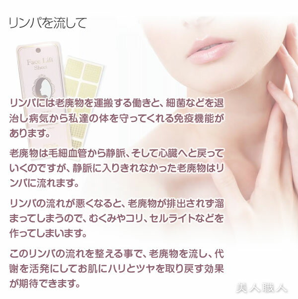 【メール便送料無料】テラヘルツ フェイスリフトシート1シート（シール10枚）お試し バラ売り【Face Lift Sheet】【プレゼント ギフト】【ラッキーシール対応】