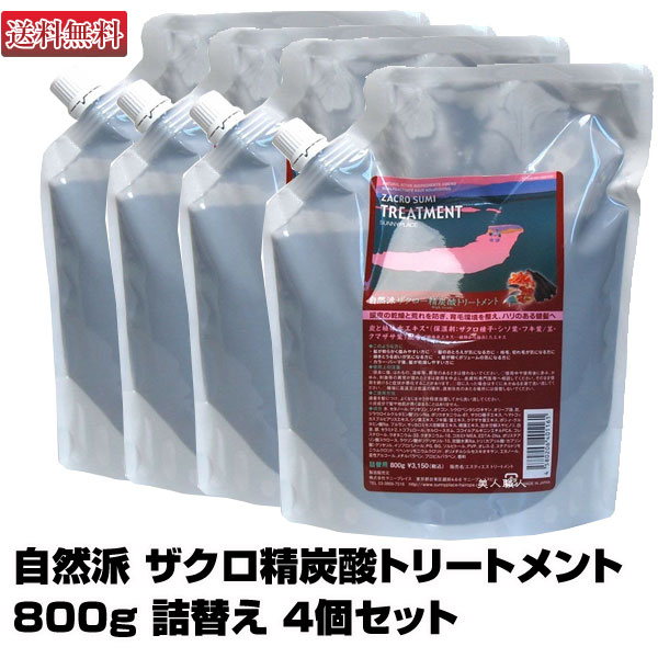 【4個セット】自然派 ザクロ精炭酸トリートメント 800g【詰替え】【即納可】【絵画バージョン】サニープレイス あす楽 【送料無料】 プレゼント ギフト 福袋