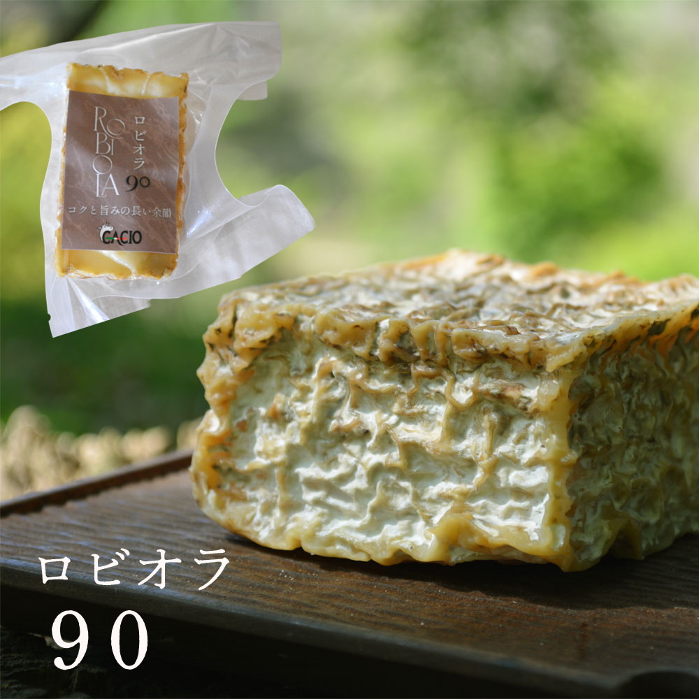 チーズ工房Cacio ロビオラ90 90g 福岡県 嘉麻市
