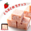 チョコレートバーR とちおとめ 生チョコレート 栃木県 栃木市|詳細画像
