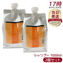 【2個セット】ルベル IAU イオ クレンジング クリアメント シャンプー 1000ml