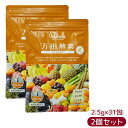【2個セット】万田酵素 ペーストタイプ GINGER ジンジャー 分包 77.5g (2.5g×31包) 自然発酵食品 酵素サプリ 発酵酵素 サプリメント 健康...