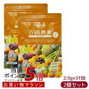 【2個セット】万田酵素 ペーストタイプ GINGER ジンジャー 分包 77.5g (2.5g×31包) 自然発酵食品 酵素サプリ 発酵酵素 サプリメント 健康...
