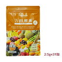万田酵素 ペーストタイプ GINGER ジンジャー 分包 77.5g (2.5g×31包) 自然発酵食品 酵素サプリ 発酵酵素 サプリメント 健康食品 万田発酵 発酵食品 野菜 果物 植物性 栄養補助 妊婦 美容 人気 おすすめ 送料無料