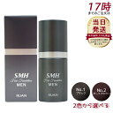 ルアン SMH メンズヘアファンデーション 20g No.1 ブラック No.2ダークブラウン 薄毛 白髪カバー スーパーミリオンヘアー ヘアファンデーション ...