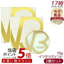 【2個セット】スピケア V3 インテリジェント ファンデーション 15g 本体
