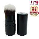 V3セットアップパウダーブラシ(スムース シャイニー フェイス パウダ クリーム 紫外線対策 ボディ用日焼け止め 日焼け止め 日焼け対策 紫外線 UVケア SP...