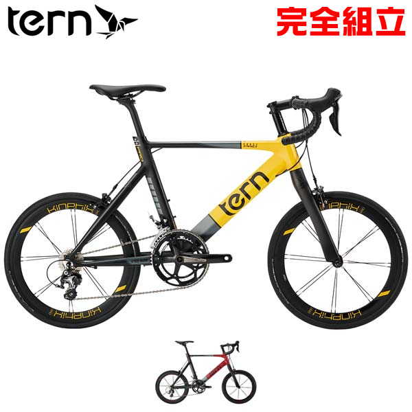 TERN ターン 2021年モデル SURGE PRO 2tone サージュプロ ミニベロ ROJI BIKES (期間限定送料無料/一部..