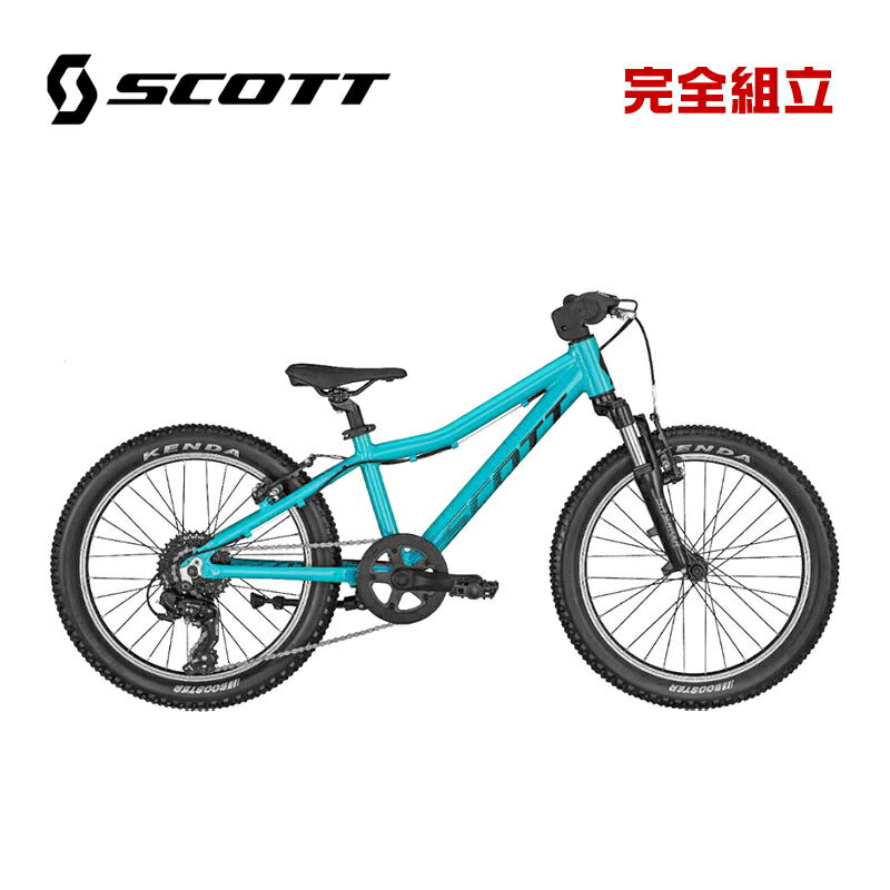 SCOTT å 2024ǯǥ SCALE 20 BLUE 20 ֥롼 20 ҶѼž