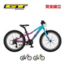 GT ジーティー 2025年モデル STOMPER HT ACE 20 ストンパーHT エース 20 子供用自転車