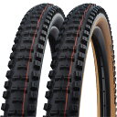 SCHWALBE シュワルベ ビッグベティ 29x2.40/60 SuperGravity オフロード タイヤ