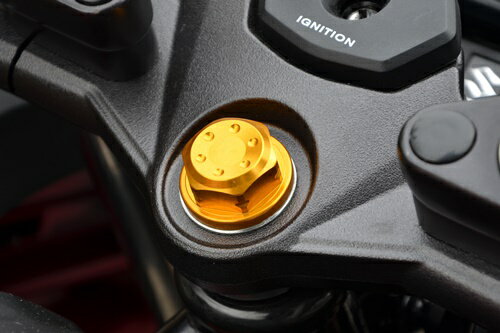 GSX250R（17年） センターナット ブラック AGRAS（アグラス）