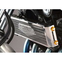 オイルクーラーコアガード AGRAS(アグラス) XJR1300
