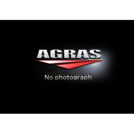 トップ&ステムSET AGRAS（アグラス） GSR750 1