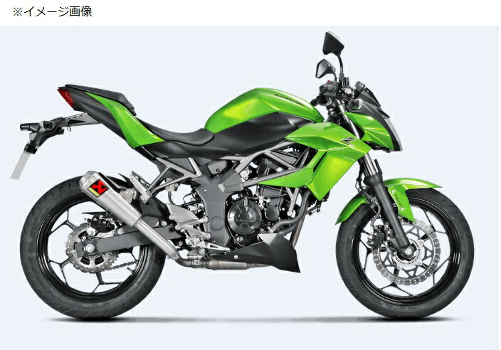 Ninja250SLʥ˥󥸥250SL15ǯ åץޥե顼GPץ󥵡 AKRAPOVICʥݥå