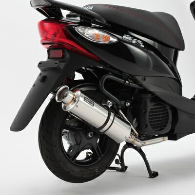 祰ZRJOG SS300˥åޥե顼 SP BEAMSʥӡॹ