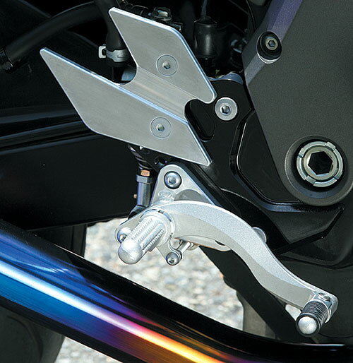 Z750・S（04〜06年） ハイパーバンク （固定式）シルバー BEET（ビート）