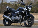 GSR250(12年~) ガイラガントレット スモーク CHIC DESIGN(シックデザイン)