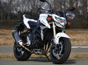 GSR750(11年~)ABS車可 ガイラガントレット クリア CHIC DESIGN(シックデザイン)