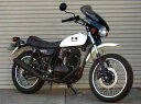 250TR(02年〜) ガイラシールド Lサイズ スモーク CHIC DESIGN(シックデザイン)