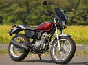 CB223S(08年〜) ガイラシールド Sサイズ クリア CHIC DESIGN(シックデザイン)