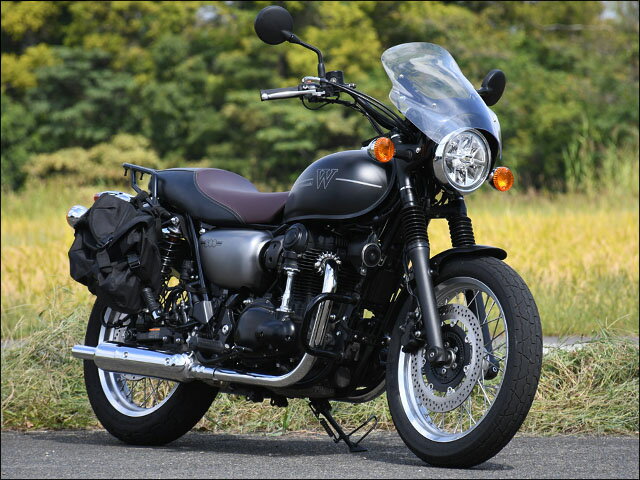 ガイラシールド クリア Mサイズ CHIC DESIGN（シックデザイン） W800 STREET（19年）