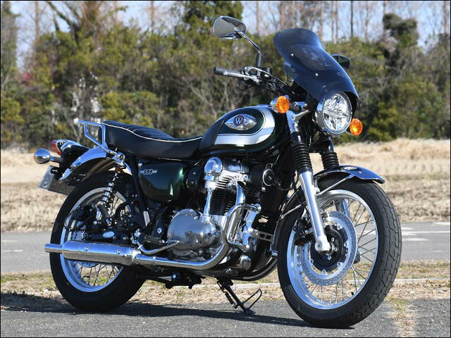 ガイラシールド スモーク Lサイズ CHIC DESIGN（シックデザイン） W800（20年）