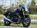 ガイラシールド クリア Mサイズ CHIC DESIGN(シックデザイン) CB1100(19年)