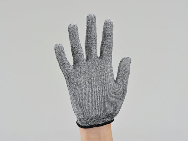 HBV-029 �ܿ��䴶����ʡ��������� L�ե꡼ DAYTONA�ʥǥ��ȥʡ�