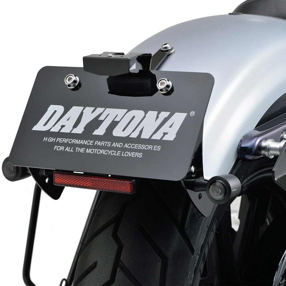 スポーツスター（SPORTSTER） フェンダーレスキット DAYTONA（デイトナ） 2