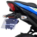 GSX250R(18〜22年) フェンダーレスEDGE DAYTONA(デイトナ)