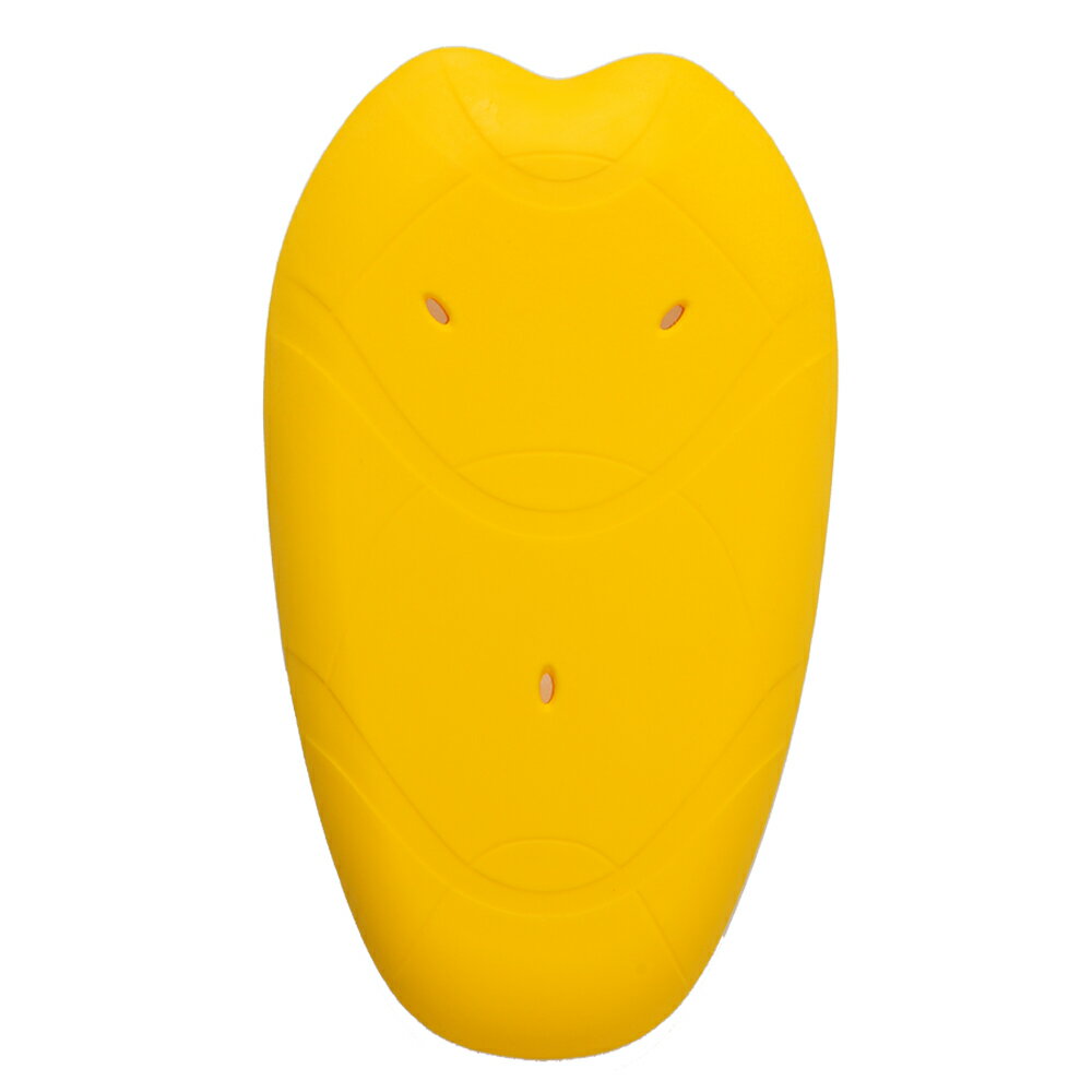 SAS-TEC プロテクター 背中プロテクター 単体 Sサイズ/レベル2 DAYTONA（デイトナ）