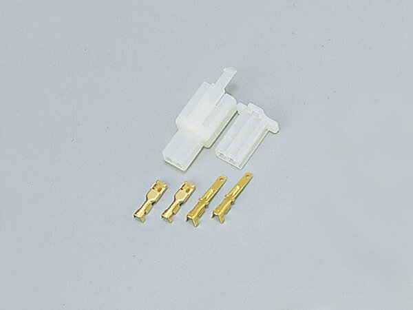 ���ͥ�����110�� ���å� 2�� DAYTONA�ʥǥ��ȥʡ�