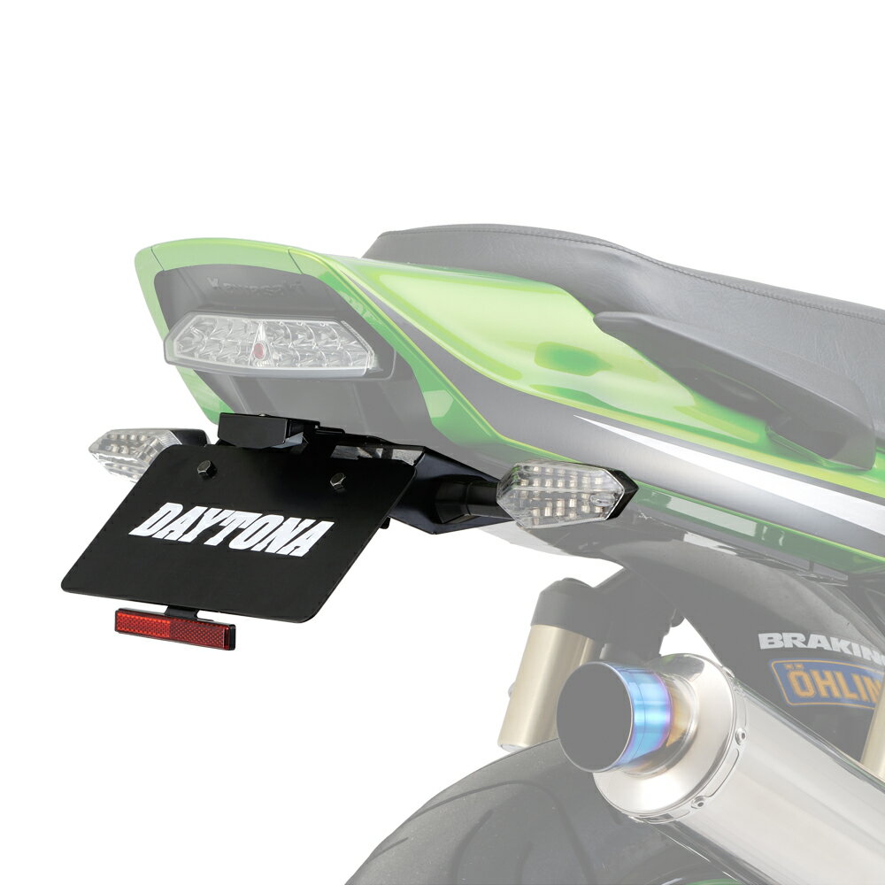 ZRX1200DAEGダエグ（09〜16年） LEDフェンダーレスキット DAYTONA（デイトナ）
