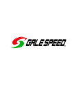 ZX-25R/SE(20〜21年) リア用 400-17 ソリッドホワイト (TYPE-GP1S)Gコート GALE SPEED(ゲイルスピード)