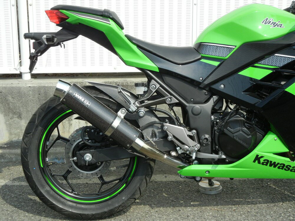 Ninja250/ABS（JBK-EX250L） ラウンドタイプ スリップオンマフラー ステンレス/カーボン（JMCA認証） WR'S（ダブルアールズ）