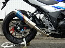 GSX250R（2BK-DN11A） リヤエキゾースト ラウンドタイプ （ステンレス/チタン焼き色）スリップオンマフラー 政府認証 WR'S（ダブルアールズ）